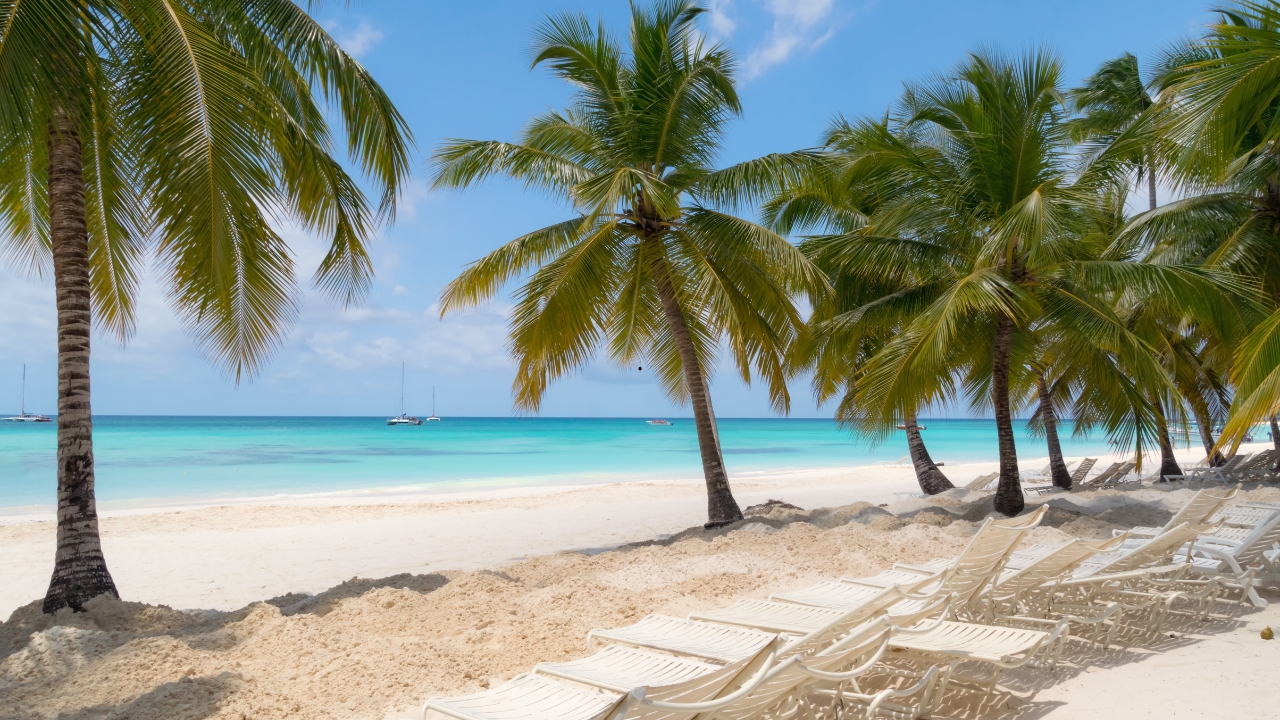 Najlepsze atrakcje Punta Cana – wyspa Saona