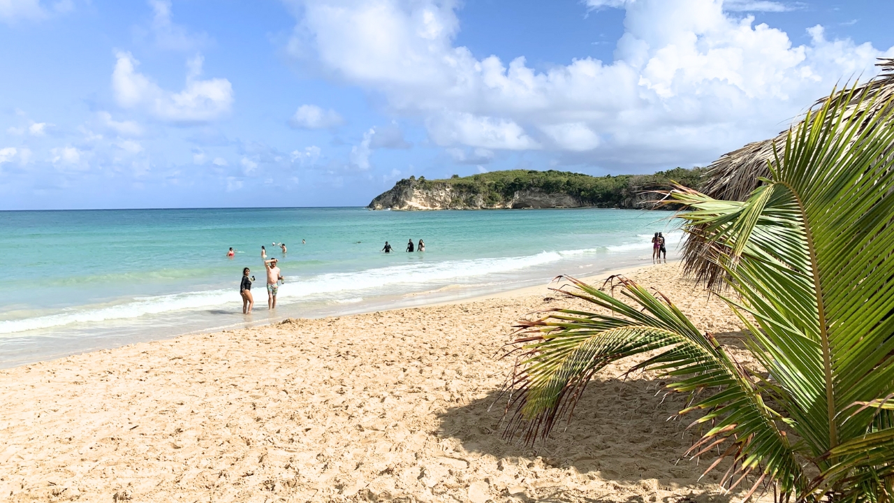 Jak dojechać na Plażę Macao?