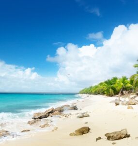 Wyspa Catalina przewodnik