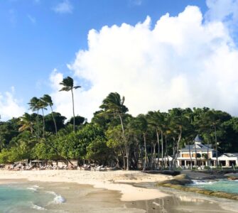 Wyspa Cayo Levantado