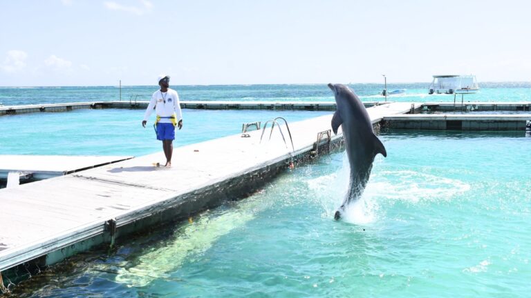 Dolphin Island Park Punta Cana