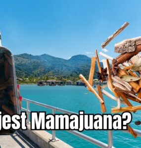 Co to jest mamajuana?