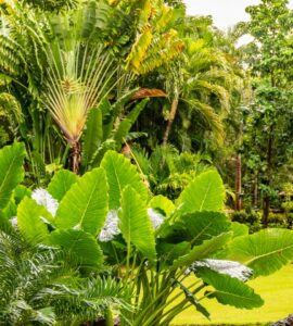 Altos de Chavón – co warto zobaczyć?