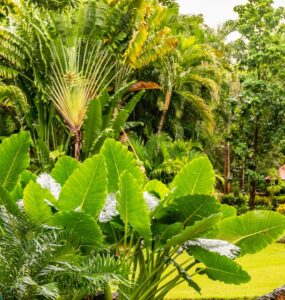 Altos de Chavón – co warto zobaczyć?