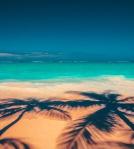 Czy w Punta Cana mówi się po angielsku?