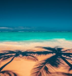 Czy w Punta Cana mówi się po angielsku?