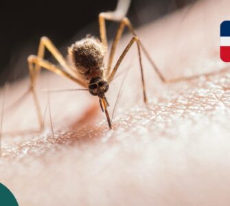 Komary w Dominikanie