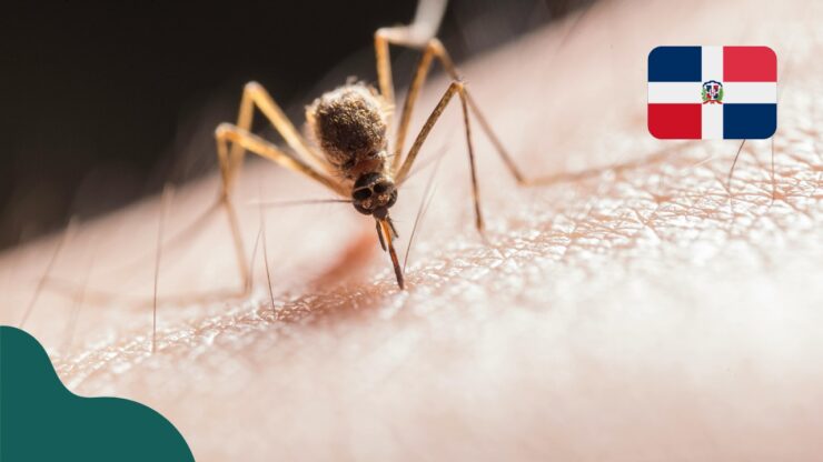 Komary w Dominikanie